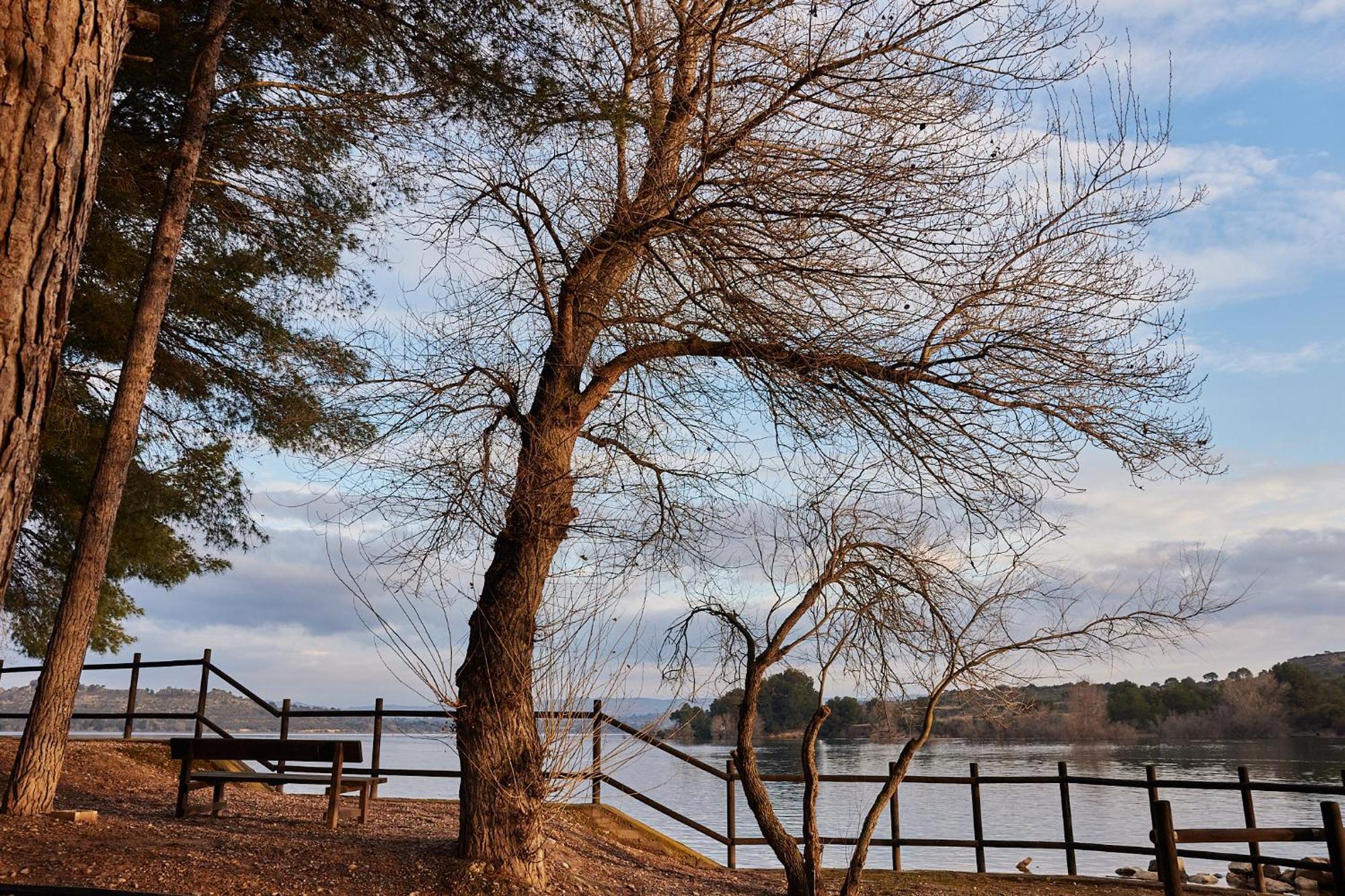 Taiga Lake Каспе Екстер'єр фото
